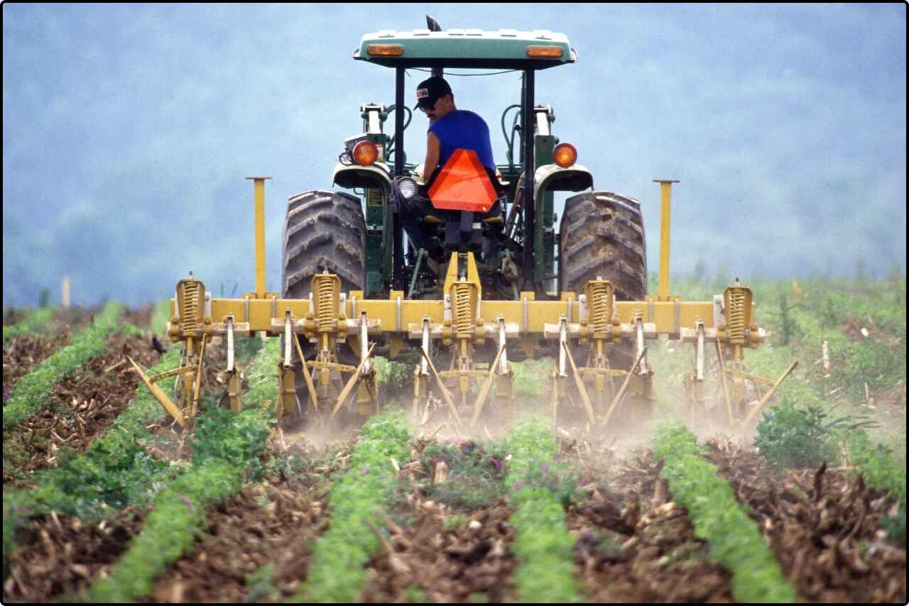 Farmer in a hat steering a large tractor through a green field, with plowed soil visible behind the vehicle.